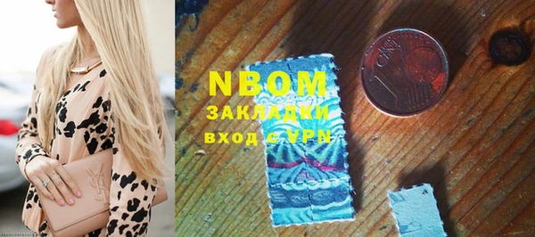 хмурый Алзамай
