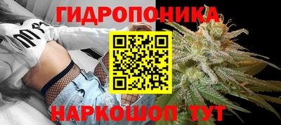 сатива Славгород