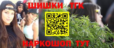 сатива Славгород