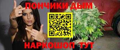 сатива Славгород