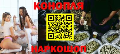 сатива Славгород