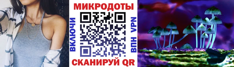 Галлюциногенные грибы Psilocybe  Новоуральск 