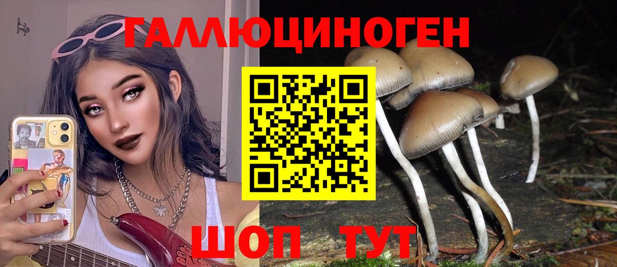 Псилоцибиновые грибы Cubensis  Галлюциногенные грибы прущие грибы  Новоуральск  Вход с VPN 